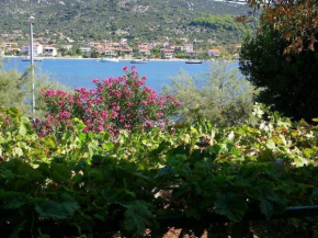 Apartments Fran-30m from sea